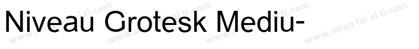 Niveau Grotesk Mediu字体转换